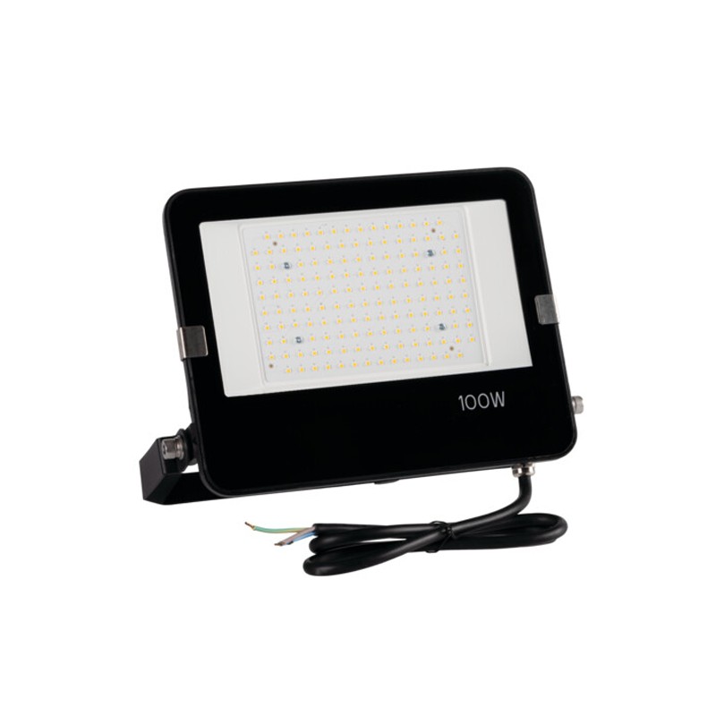 AGOR PRO LED 100W